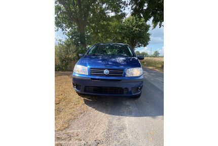 Fiat Punto Gebrauchtwagen