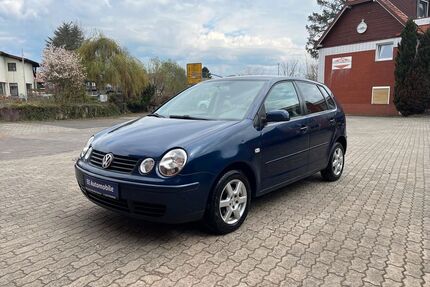 VW Polo Gebrauchtwagen