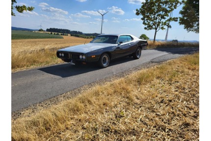 Dodge Charger Gebrauchtwagen