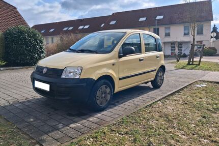 Fiat Panda Gebrauchtwagen