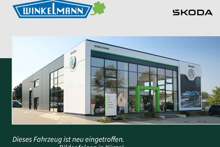 Skoda Enyaq Gebrauchtwagen