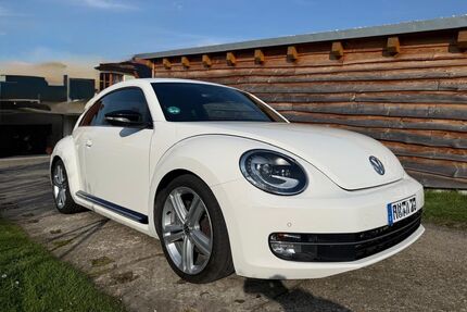 VW Beetle Gebrauchtwagen