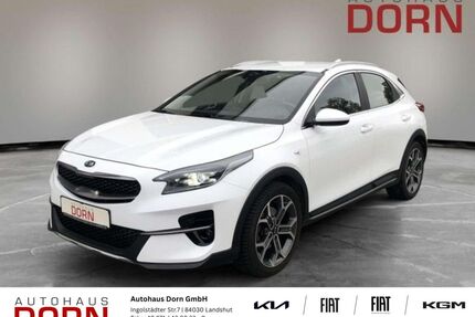 Kia XCeed Gebrauchtwagen