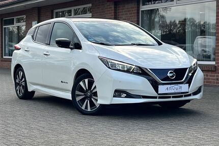 Nissan Leaf Gebrauchtwagen