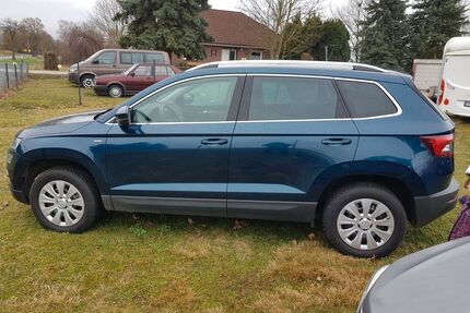 Skoda Karoq Gebrauchtwagen