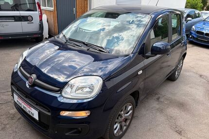 Fiat Panda Gebrauchtwagen