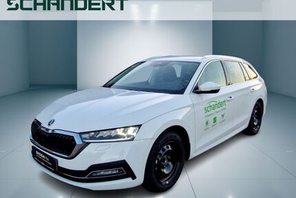 Skoda Octavia Gebrauchtwagen