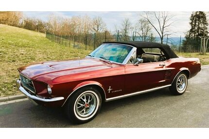 Ford Mustang Gebrauchtwagen