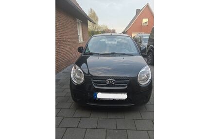 Kia Picanto Gebrauchtwagen
