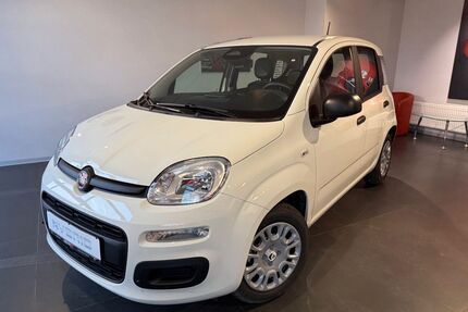 Fiat Panda Gebrauchtwagen