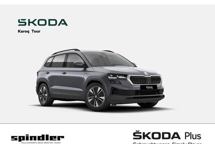 Skoda Karoq Gebrauchtwagen