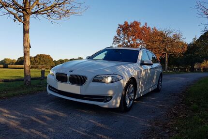 BMW 525 Gebrauchtwagen