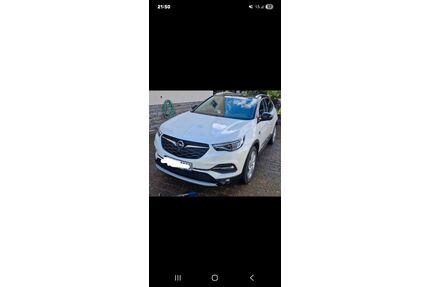Opel Grandland (X) Gebrauchtwagen