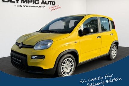 Fiat Panda Gebrauchtwagen