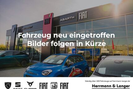 Fiat Scudo Gebrauchtwagen
