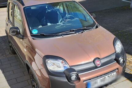 Fiat Panda Gebrauchtwagen