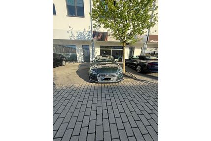 Audi S5 Gebrauchtwagen