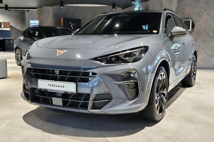Cupra Terramar Gebrauchtwagen