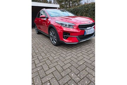 Kia XCeed Gebrauchtwagen