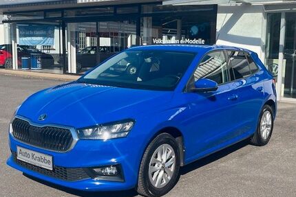 Skoda Fabia Gebrauchtwagen