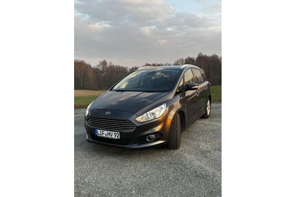 Ford S-Max Gebrauchtwagen