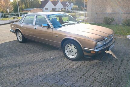 Jaguar XJ40 Gebrauchtwagen