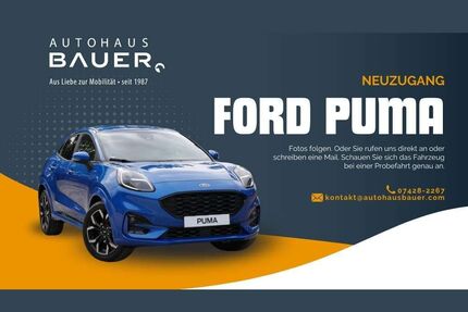 Ford Puma Gebrauchtwagen