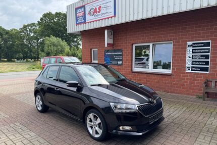 Skoda Fabia Gebrauchtwagen