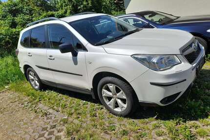Subaru Forester Gebrauchtwagen