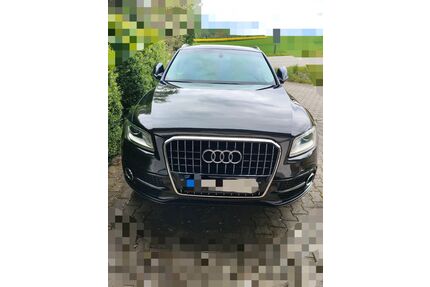 Audi Q5 Gebrauchtwagen
