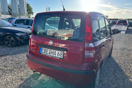 Fiat Panda Gebrauchtwagen
