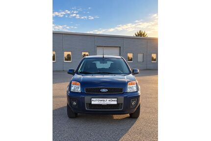 Ford Fusion Gebrauchtwagen