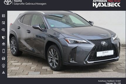 Lexus UX Gebrauchtwagen