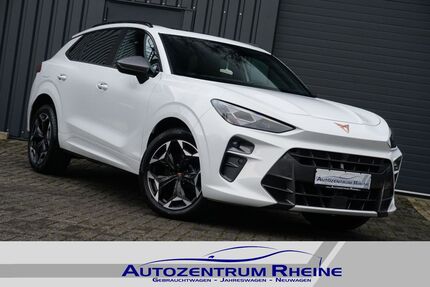 Cupra Terramar Gebrauchtwagen