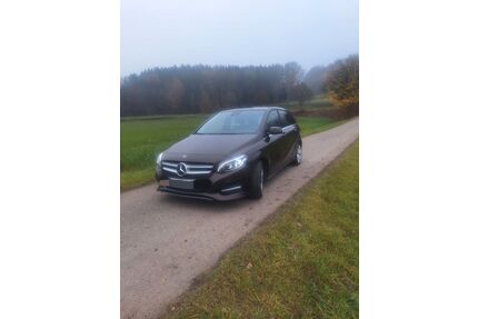 Mercedes-Benz B 200 Gebrauchtwagen