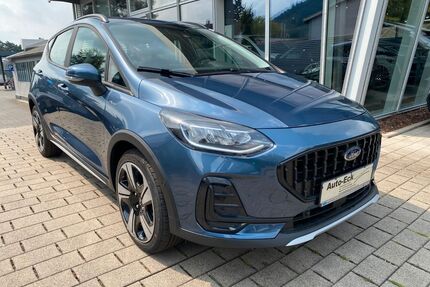 Ford Fiesta Gebrauchtwagen