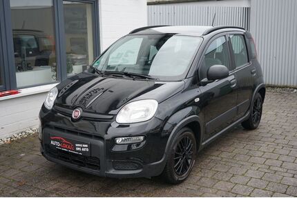 Fiat Panda Gebrauchtwagen