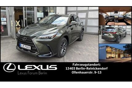Lexus NX 450h Gebrauchtwagen