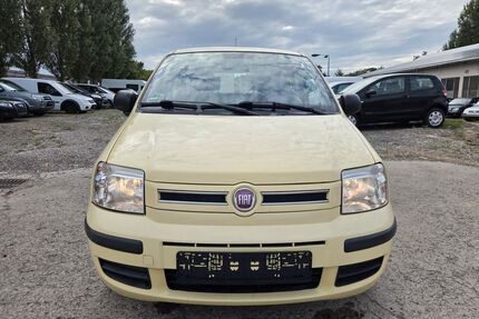 Fiat Panda Gebrauchtwagen