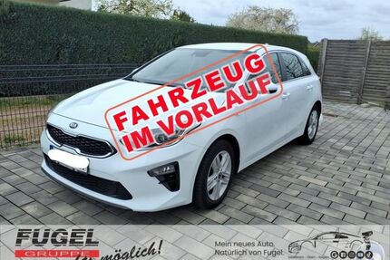 Kia ceed / Ceed Gebrauchtwagen