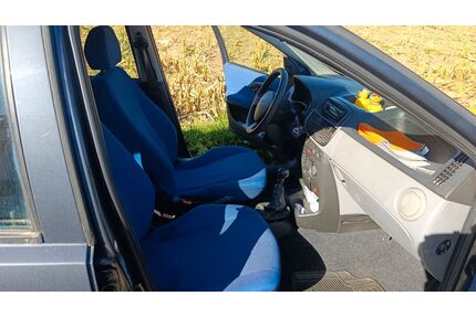 Fiat Punto Gebrauchtwagen