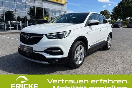 Opel Grandland (X) Gebrauchtwagen