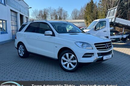 Mercedes-Benz ML 250 Gebrauchtwagen