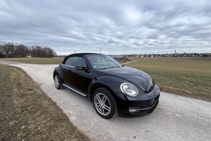 VW Beetle Gebrauchtwagen
