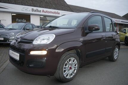 Fiat Panda Gebrauchtwagen