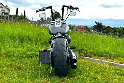 Harley Davidson Softail Gebrauchtwagen