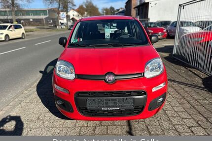 Fiat Panda Gebrauchtwagen