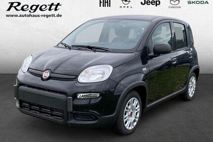 Fiat Panda Gebrauchtwagen