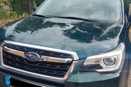 Subaru Forester Gebrauchtwagen