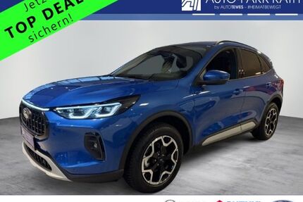 Ford Kuga Gebrauchtwagen